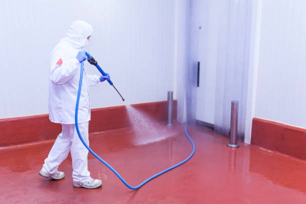 Best Soft Washing  in Clearfield, PA